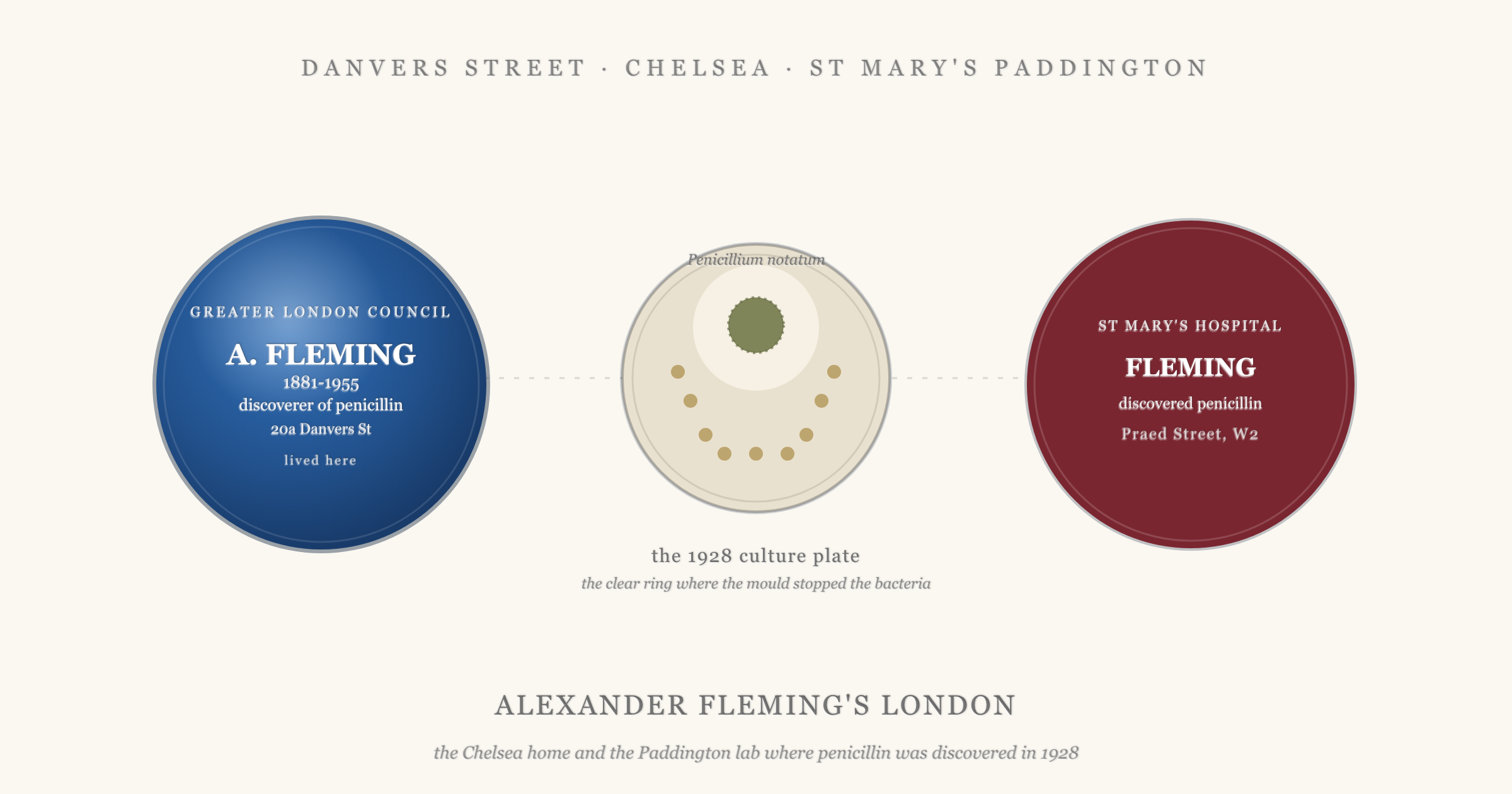 Hero illustration showing the blue plaque to Alexander Fleming (1881-1955, discoverer of penicillin, 20a Danvers Street, Chelsea) on the left, the famous 1928 Penicillium culture plate in the centre with the clear ring where the mould stopped the bacteria, and the maroon St Mary's Hospital plaque on the right recording that Fleming discovered penicillin on Praed Street, with the caption Alexander Fleming's London.